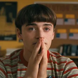 😐 Will Byers Stranger Things Will Byers, Stranger Things, Mundo Invertido, Netflix, assustado, anos 80 telegram sticker
