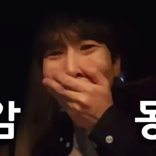 🧨 감동 Coreano, Commovente, Sentimento, Emozionale, Eccitato telegram sticker