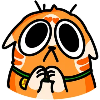 🙏 고양이, 귀여운, 스티커, 주황색, 동물 telegram sticker