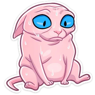 😅 кот, смешной, странный, животное, мем, сфинкс, лысый кот, существо telegram sticker