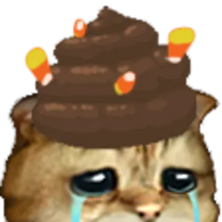💩 gato, triste, llorando, caca, maíz dulce, meme, divertido, emoji telegram sticker