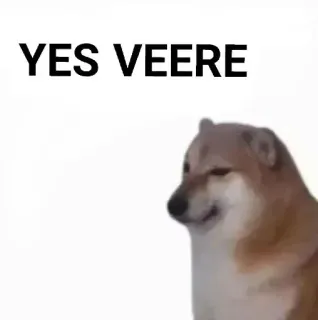 ✨ YES VEERE doge, meme, yes, veere, dog telegram sticker
