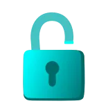🔒