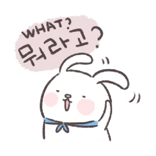 🐰 WHAT?
뭐라고? kelinci, apa, pertanyaan, lucu, kartun, kelinci, animasi telegram sticker