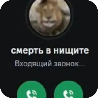🖼 смерть в нищите
Входящий звонок... telegram sticker