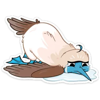 😭 птица, грустный, плачущий, голубоногая олуша, эмодзи, стикер telegram sticker