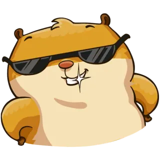 😎 仓鼠, 酷, 太阳镜, 动物, 可爱, 卡通 whatsapp sticker