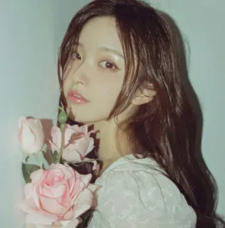 🫐 woman, roses, portrait, beauty, flowers telegram sticker