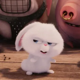 🐰 Snowball The Secret Life of Pets coelho, branco, animal, desenho animado, animal de estimação whatsapp sticker