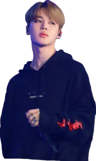 😐 Jimin doesn't like kpop, jimin, bangtan, bts, singer telegram sticker