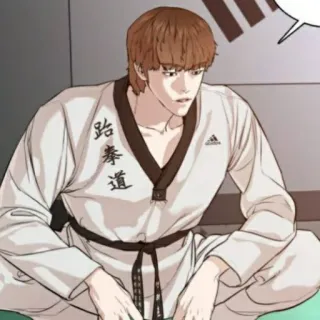 🧃 跆拳道 manhwa, martial arts, taekwondo, uniform telegram sticker