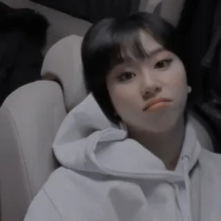 🥡 whatsapp sticker