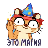 🙌 ЭТО МАГИЯ mèo, phù thủy, phép thuật, mũ tiệc, phim hoạt hình whatsapp sticker