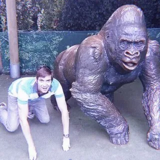 🍫 gorilla, animal, man, statue, zoo, crawl telegram sticker