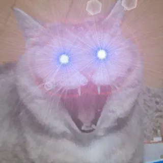 ✨ cat, meme, animal, humor, funny, laser eyes whatsapp sticker