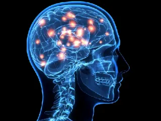 Brain Meme telegram stickers
