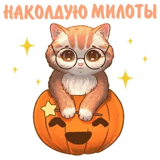 🤓 НАКОЛДУЮ МИЛОТЫ Katze, Kätzchen, süß, Kürbis, Halloween, Brille, Sterne, Magie telegram sticker