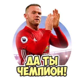 👏 ДА ТЫ ЧЕМПИОН! football, sport, champion, Wayne Rooney, football telegram sticker