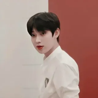🧄 korean, man, male, portrait, person, asian telegram sticker