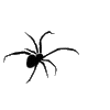 🕷️