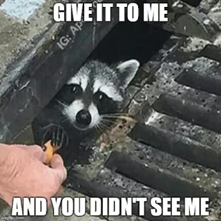 My Evil Raccoon 😎🐾 whatsapp stickers
