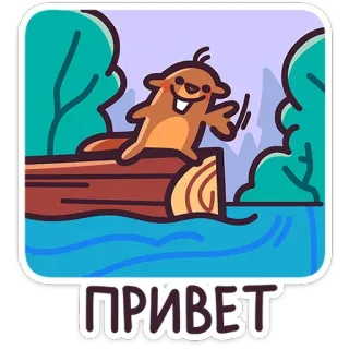 👋 ПРИВЕТ 안녕하세요, 인사, 비버, 귀여운, 동물 telegram sticker