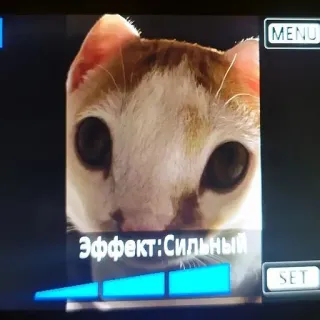 😳 Эффект:Сильный Katze, Filter, Effekt, stark telegram sticker