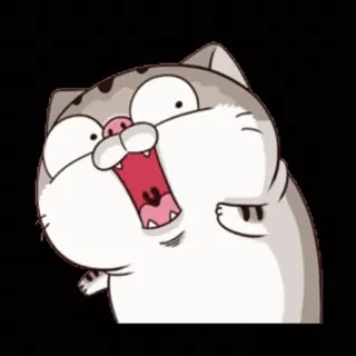 😲 mèo, nhãn dán, hoạt hình, động vật, biểu cảm, bất ngờ whatsapp sticker