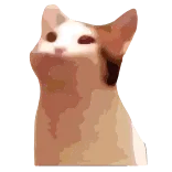 😊 chat, mème, animal, Popcat telegram sticker