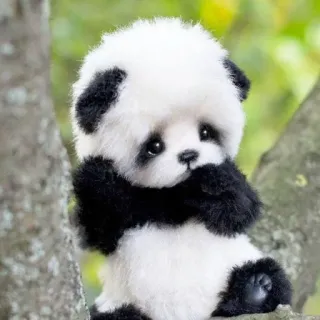 🐼 Panda, Mignon, Animal, Nature, Faune, Jouet, Peluche whatsapp sticker
