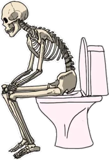 🚽 โครงกระดูก, ห้องน้ำ, ตลก, ห้องอาบน้ำ, กายวิภาคศาสตร์ telegram sticker