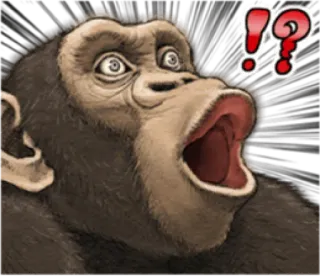 🐵 monyet, kera, kejutan, pertanyaan, seruan, terkejut, hewan telegram sticker