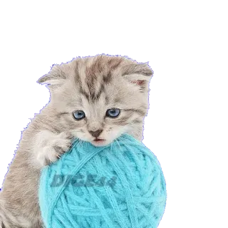 @STIKERFORALL CATSGATTIGATOS telegram stickers