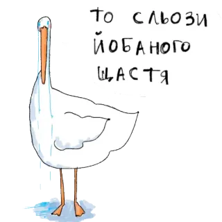 🎉 То сльози йобаного щастя 거위, 눈물, 그림, 새, 슬픈, 울음, 우크라이나 telegram sticker