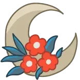 🌙