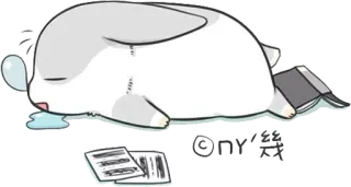 💤 NY’羲 królik, królik, śpiący, zmęczony, wyczerpany, słodki, zwierzę telegram sticker