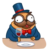 🍽 물개, 와인, 실크햇, 만화, 동물, 음주 telegram sticker