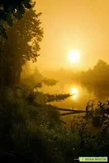 😅 DESIGN-WAREZ.RU sunrise, sunset, nature, landscape, river, mist, golden hour, scenic telegram sticker