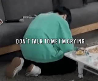 😭 DON'T TALK TO ME I'M CRYING pleurer, triste, bouleversé, émotion, seul telegram sticker