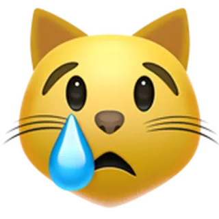 😿 고양이, 이모티콘, 슬픈, 울음, 귀여운 telegram sticker