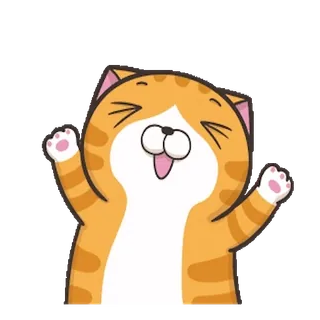 🎉 猫, 快乐, 橙色, 卡通, 动物, 可爱 telegram sticker