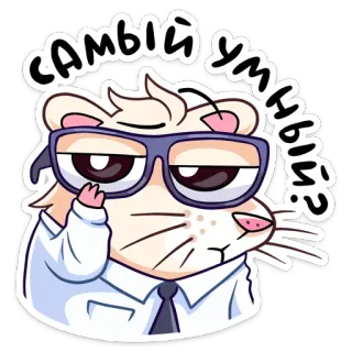 Нутри в школе (@TgSticker) telegram stickers