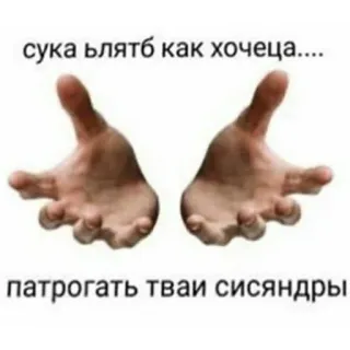 😏 сука блятьб как хочеца....
патрогать тваи сисяндры offensive, hands, russian, slang, meme telegram sticker