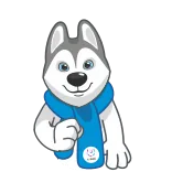 ❤️ chó, husky, động vật, hoạt hình, khăn quàng cổ, dễ thương, mùa đông telegram sticker