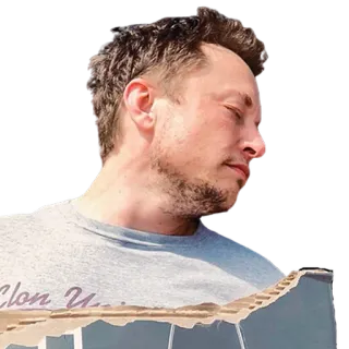 💤 Elon Musk Elon Musk, Empresário, Empreendedor, Tecnologia, Retrato telegram sticker