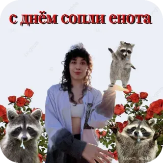 🐶 С днем сопли енота แรคคูน, ดอกไม้, มีความสุข, การเฉลิมฉลอง, ตลก, ผู้หญิง telegram sticker