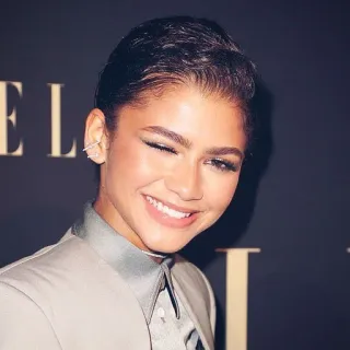 😉 Zendaya attrice, celebrità, donna, persona, ritratto, stile telegram sticker