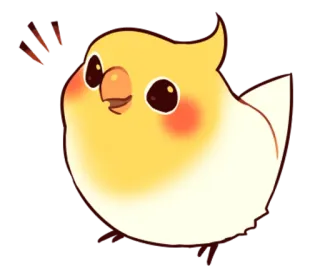 😀 oiseau, perroquet, calopsitte, mignon, kawaii, animal, animal de compagnie, jaune whatsapp sticker