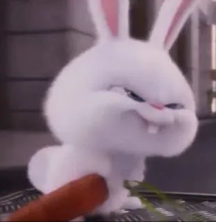 🐰 Snowball The Secret Life of Pets coelho, coelhinho, cenoura, animal, desenho animado, vilão whatsapp sticker