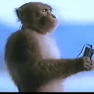 🎧 singe, grand singe, musique, écouteurs, animal telegram sticker